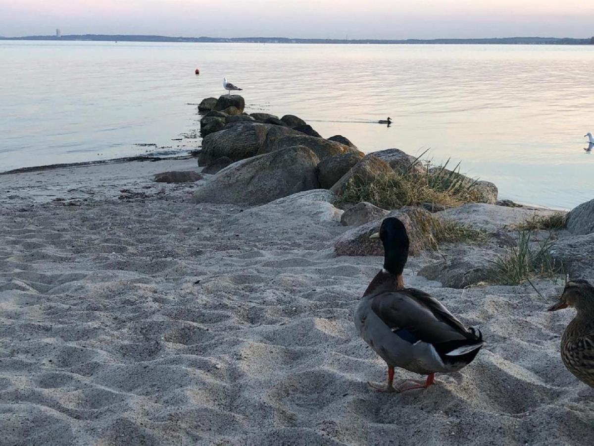 Ostseecamp Luebecker Bucht Casa Del Mar Mit Kostenfreier Saunanutzung Scharbeutz Esterno foto